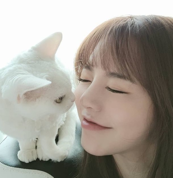 サニー猫