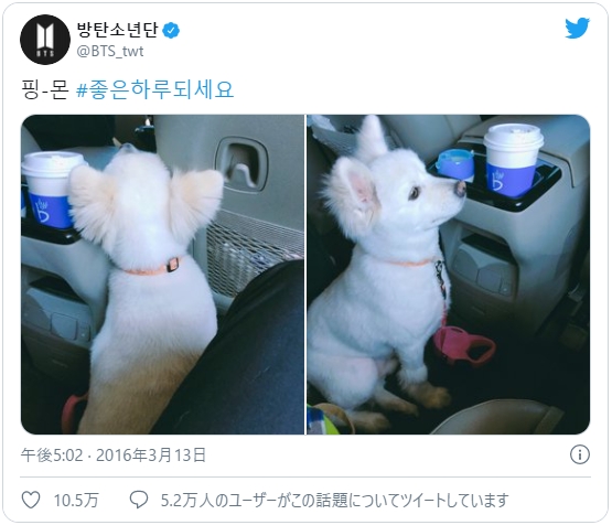 rmpet