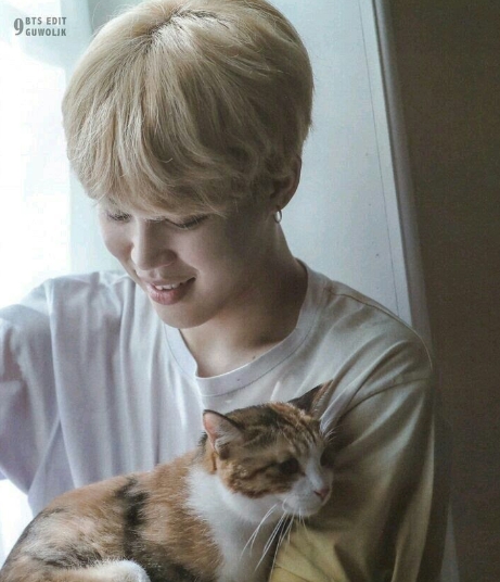 btsジミン