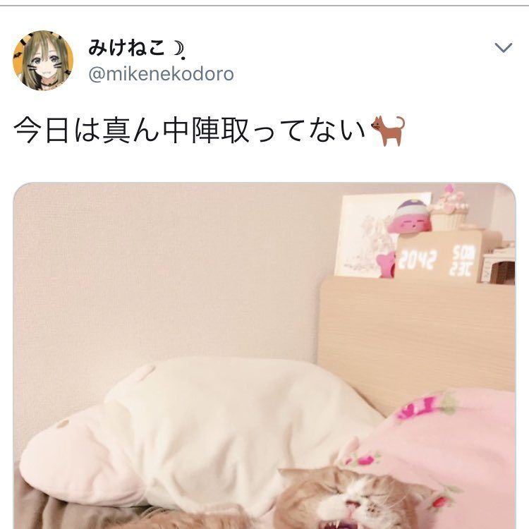 潤羽るしあと歌手まふまふが炎上したネットの反応