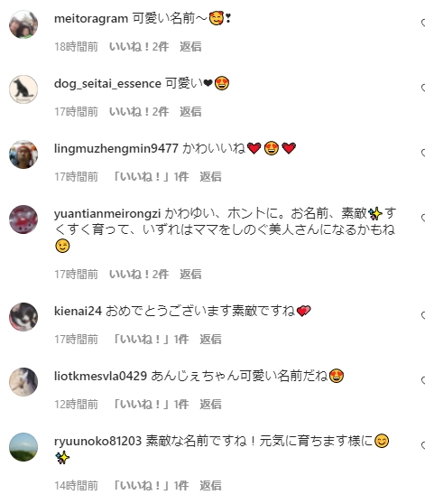 インスタグラムのコメント欄
