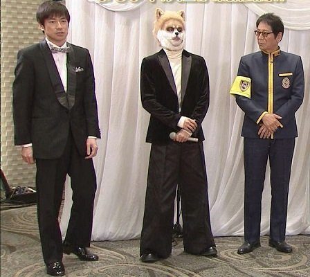 中島健人というアイドルはシークレットブーツですか?