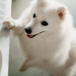 仕事を辞めたい、上司が嫌いだ?「仕事が嫌なら辞めてもいい」と断言できること