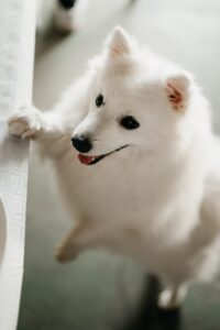 仕事を辞めたい、上司が嫌いだ？「仕事が嫌なら辞めてもいい」と断言できること