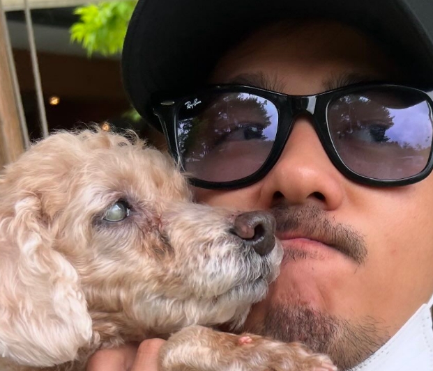 速水もこみち子供がいないのは犬がいるから?