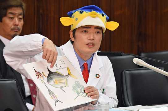 さかなクンさんのさん付けってどこから来た?なぜ怒られる?
