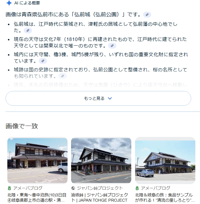 Googleに画像検索してみるとどうなる