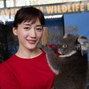 綾瀬はるかの妊娠は本当？ジェニーの交際報道で真相を今すぐ徹底解説